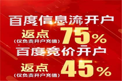 百度SEO与广告结合的多元化推广策略——多行业成功案例